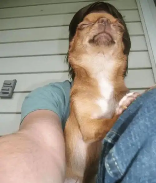 12张有趣的视觉错位图片眼见不一定为实眼睛也会被欺骗