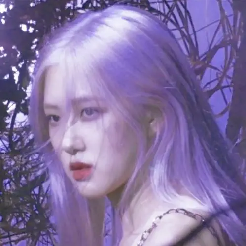 黑夜的精灵公主〕 //朴彩英rosie