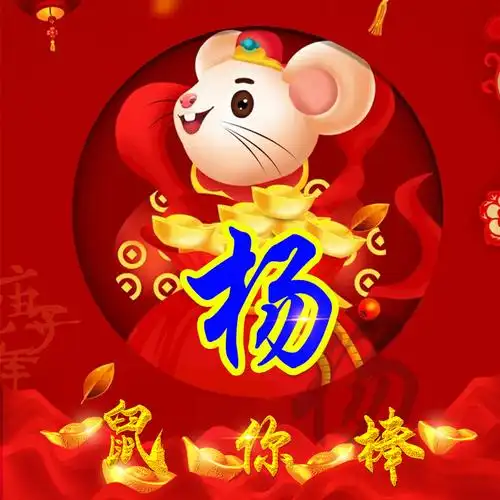 编号1575,2020鼠年大吉,30个姓氏-微信头像,百家姓氏微信头像,名字