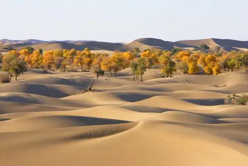 还是记忆中的戈壁滩.神秘而又美丽!