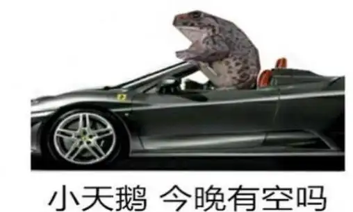 小天鹅我想你了约会吗表情包动图大全v10