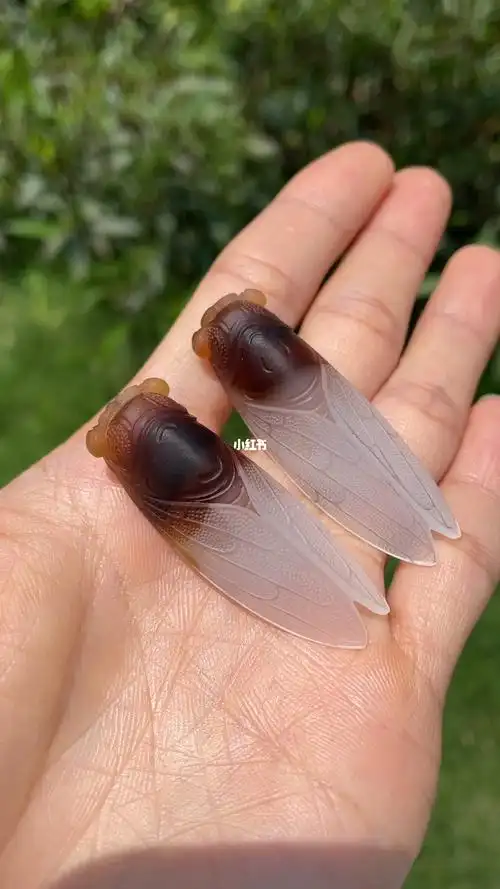 玉雕手艺人  知了 一鸣惊人 高考金榜题名