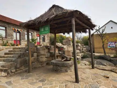 四门洞村乡村服务队助力昔日小山村汲取大动能