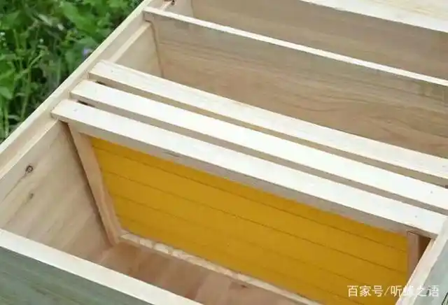 这些东西缺一不可,自制蜂箱需留意