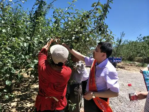 冒炎热,踏酷暑——隰县农行挨家挨户送门帘和扇子