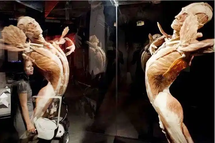 最后一名塔斯马尼亚女子,遗体被挖出展览,死前的遗言充满心酸_楚格