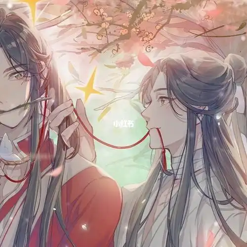 关于谢怜花城的头像