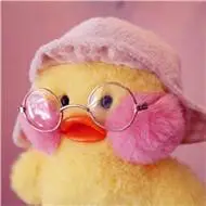 小鸭子头像图片,萌萌的小鸭子头像图片大全-可爱头像