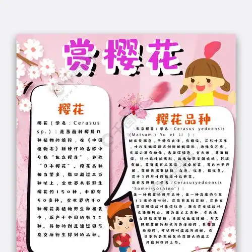 赏樱花小报旅游小报模板