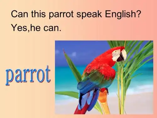 六年级英语上册 module 5 unit 1 can you be my chinese pen friend