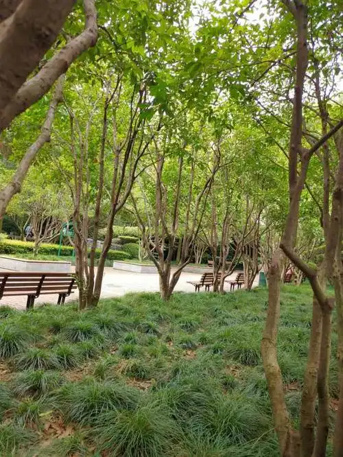 doctype html> html lang="zh-cn"> head> meta