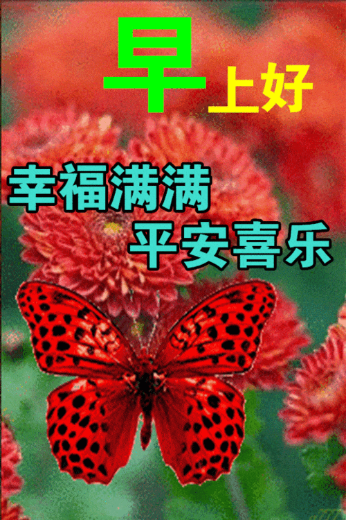 中老年表情包早上好,天天开心,知足常乐!