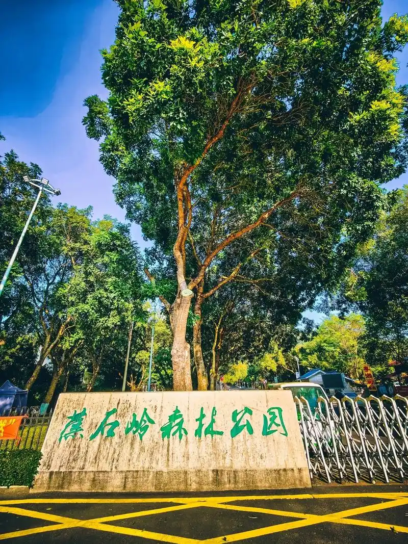 蕉石岭森林公园 #蕉石岭 #增城 #广东摄影 - 抖音