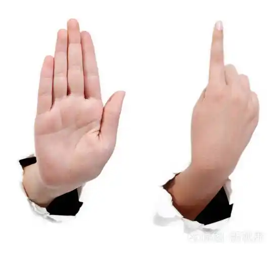 特写镜头的漂亮的女人手上掌心向上上白b孤立