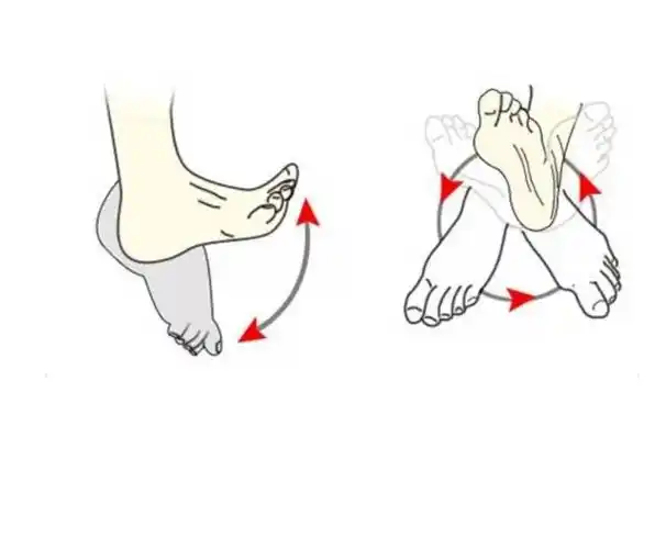 您下肢恢复知觉后就请您开始做踝泵运动.