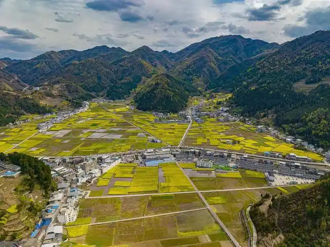 共赴巴山春华盛事!带你玩转镇巴油菜花节_活动_镇巴县_手工