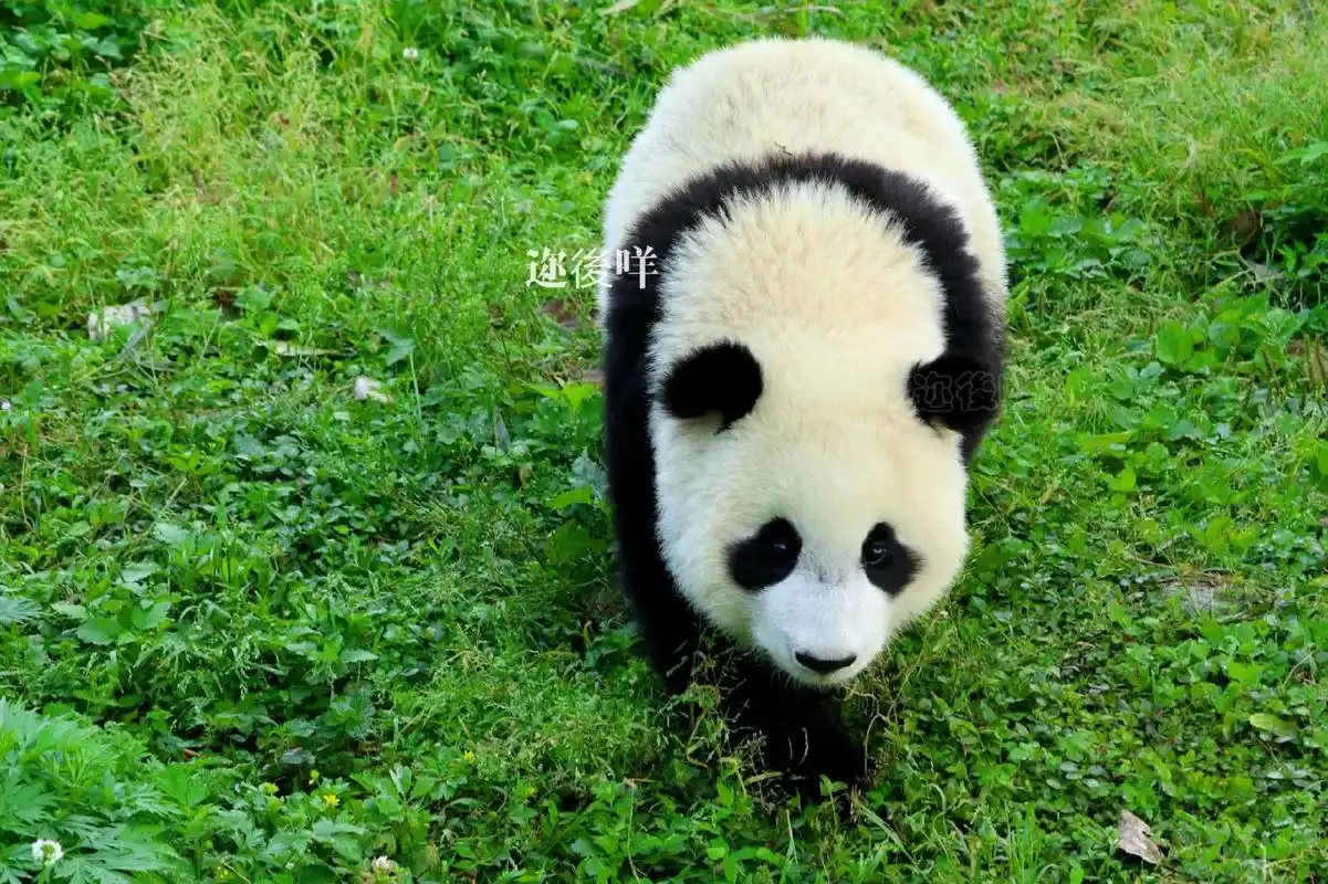 知路也是在爱里长大的孩子,2018 年 7 月出生,2019 年