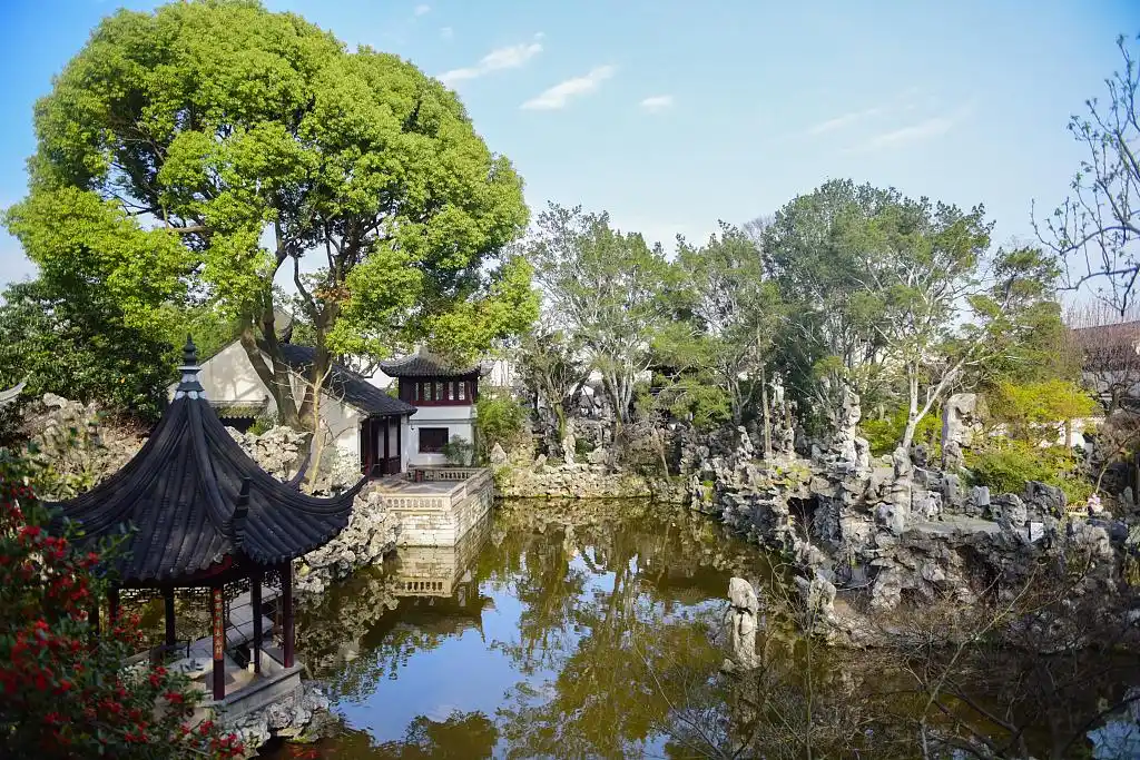 苏州探访狮子林花红树绿春色美