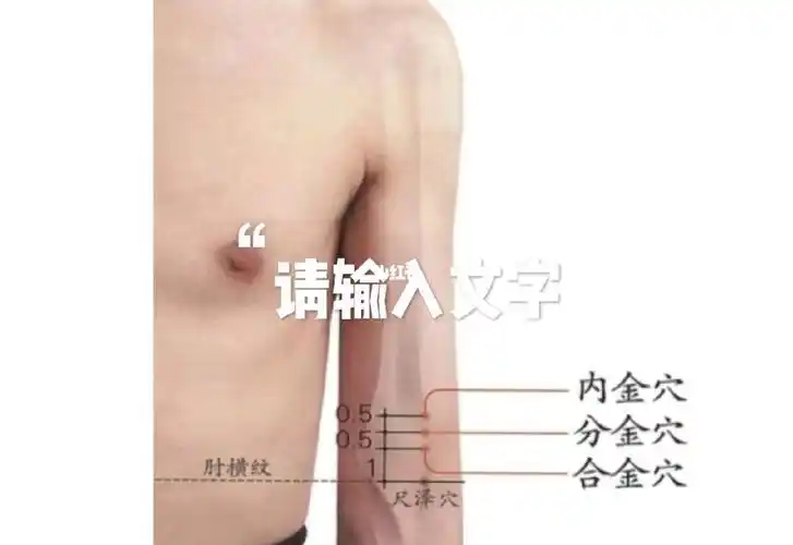 今天分享董氏针灸合金分金内金