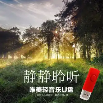 纯轻音乐u盘休闲咖啡厅餐厅美容院背景音乐古筝二胡萨克斯纯音乐16g轻