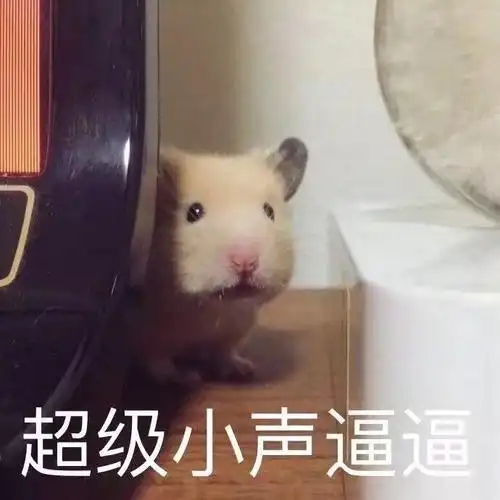 (可爱仓鼠)表情包 - 表情图