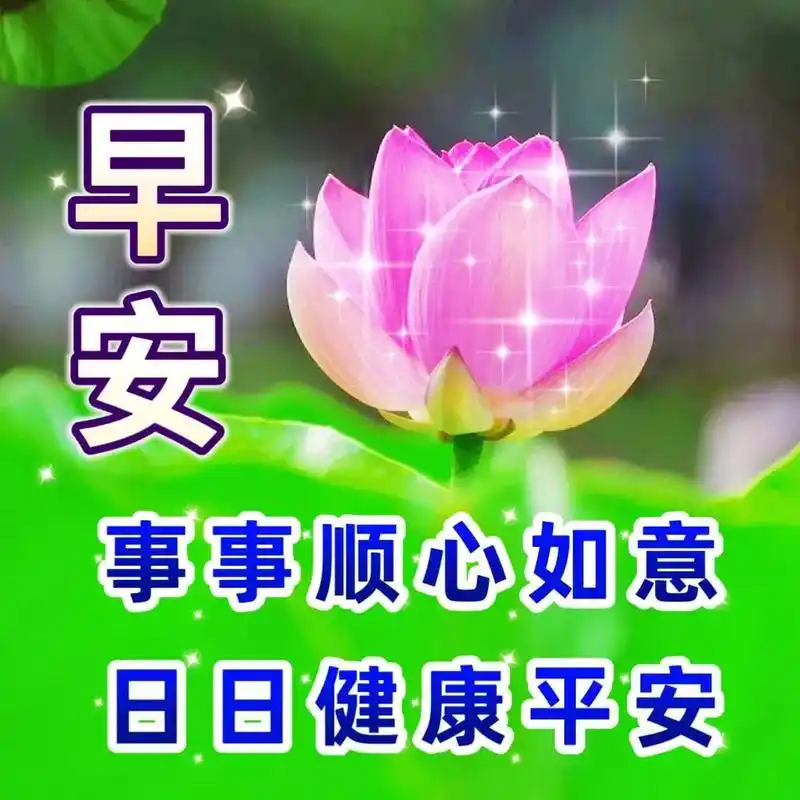 清晨早上好祝福图片带字温馨,问候送祝福,平安健康 早上好!