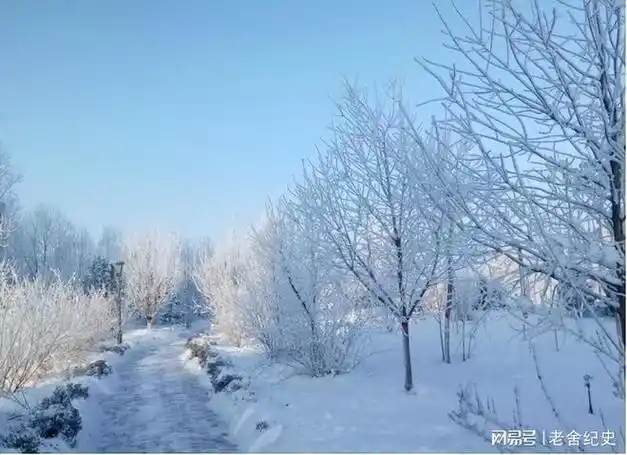 十宗罪之肢体雪人4名女大学生被杀害肢解四肢拼凑成雪人