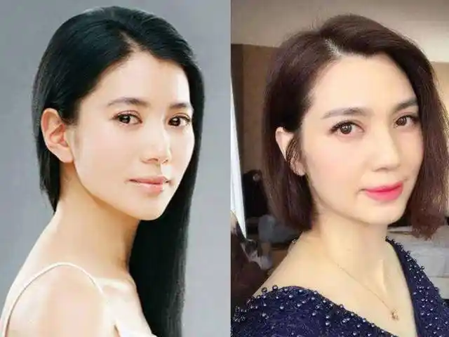 袁咏仪,1971年9月4日出生于香港,中国香港影视女演员.