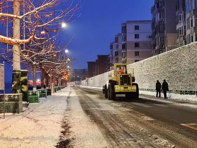 我的家乡下雪了