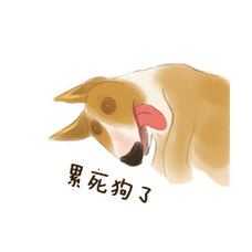 累死狗了 单身狗宽宽表情包