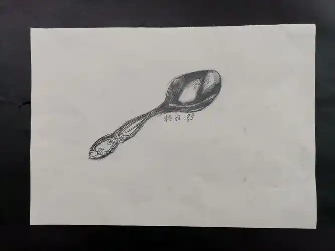 2020年秋季索宁画室七中校区综合1班第十四课《金属类素描》