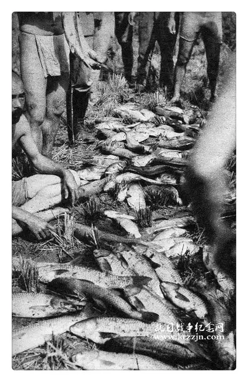 罪证:真实的日军侵华图集——华南战场(四)