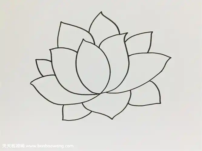 一步一步教我画荷花