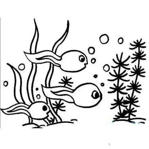 青蛙和小蝌蚪简笔画内容青蛙和小蝌蚪简笔画图片池塘里的小蝌蚪简笔画