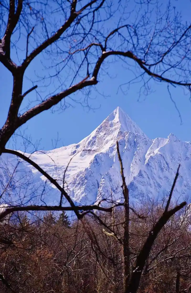上的冰川之乡 西藏波密有一个朗秋村,朗秋村下是绵延不绝的朗秋冰川