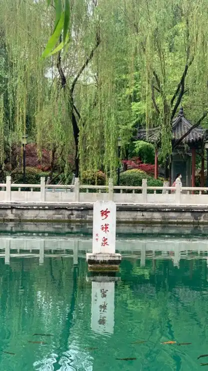 游泉城-赏泉水《走进珍珠泉》