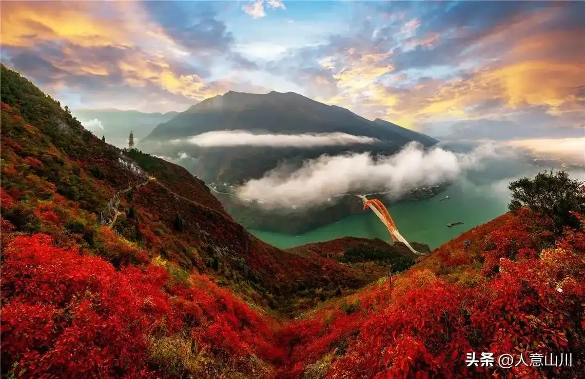 转人意山川摄影:重庆巫山县红叶.#风景如画的地方 #一道美丽 - 抖音