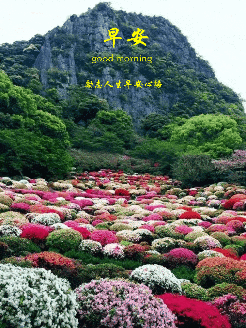 声声,清头脑晨光满面,精神好晨风拂来,烦恼消晨露闪闪,好运到祝您开心