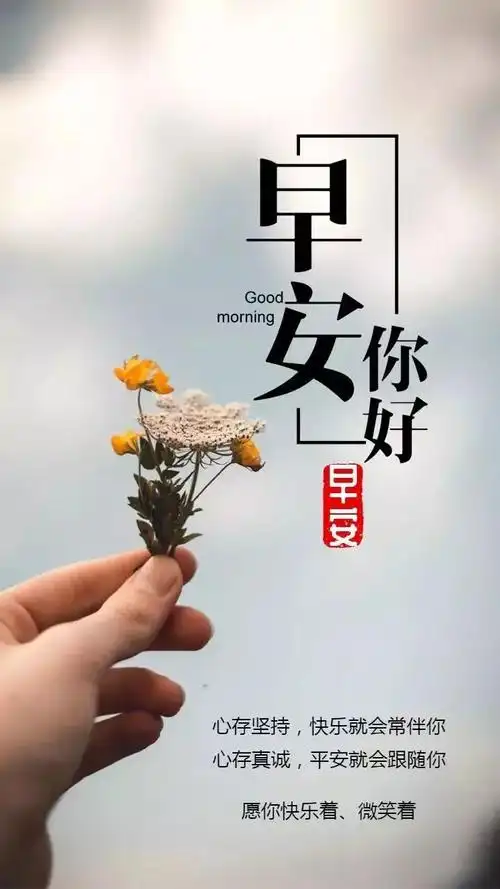 最新的唯美暖心早上好问候语录早安祝福语短信图片表情带字