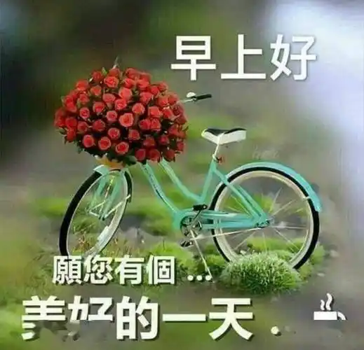今日最新漂亮早上好祝福图片带字温馨,冬日早安问候短语句子!