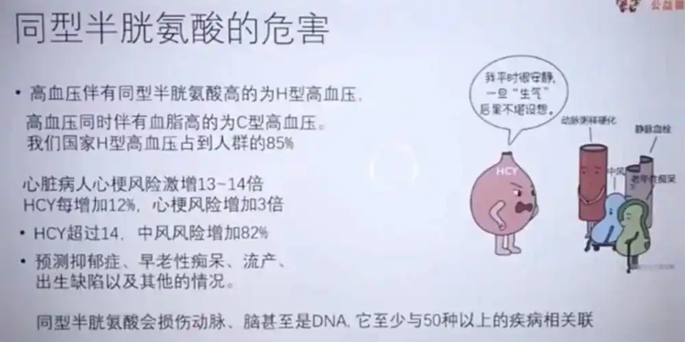 同型半胱氨酸对人体的危害