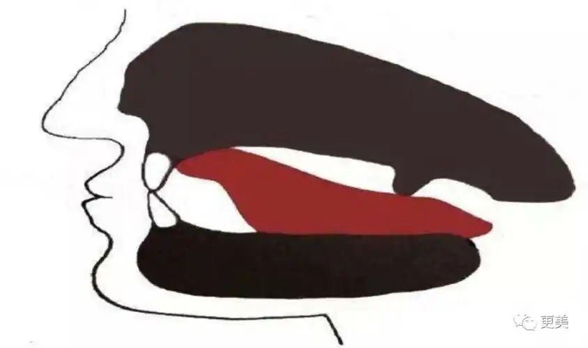 什么是正确舌位:舌尖位于上切牙(就是门牙)后方,舌背紧贴上腭黏膜.