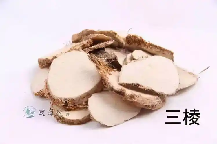 每天学习一味中药三棱