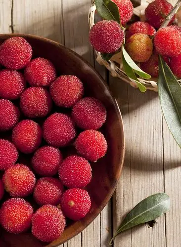 吃杨梅怎么洗才干净