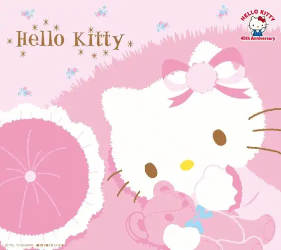 (=^▽^=)粉色的kitty