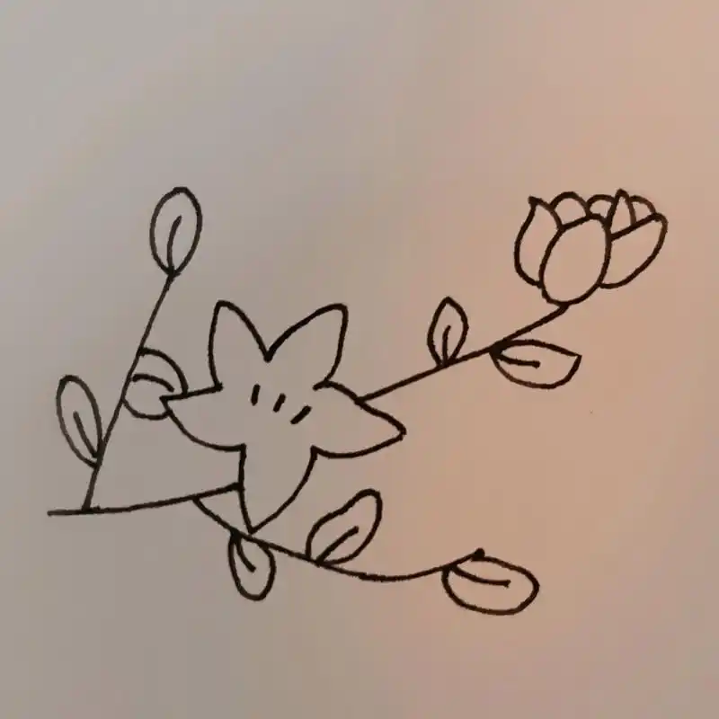 茉莉花简笔画 茉莉茉莉,希望莫离～ 堆堆白纸黑笔简笔画73