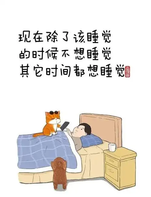 好好睡觉才是人生大事收藏