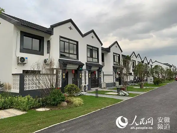 「潮涌长三角」走进上海新农村:宅基地改革 改出好日子