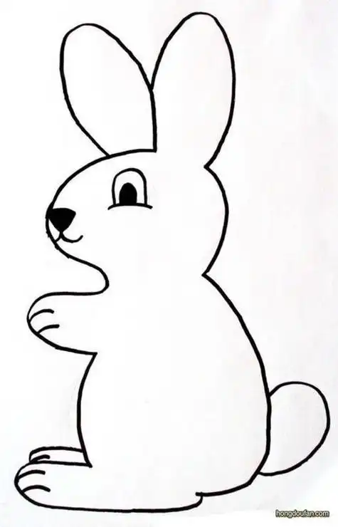 一只大白兔要如何画大白兔简笔画大全