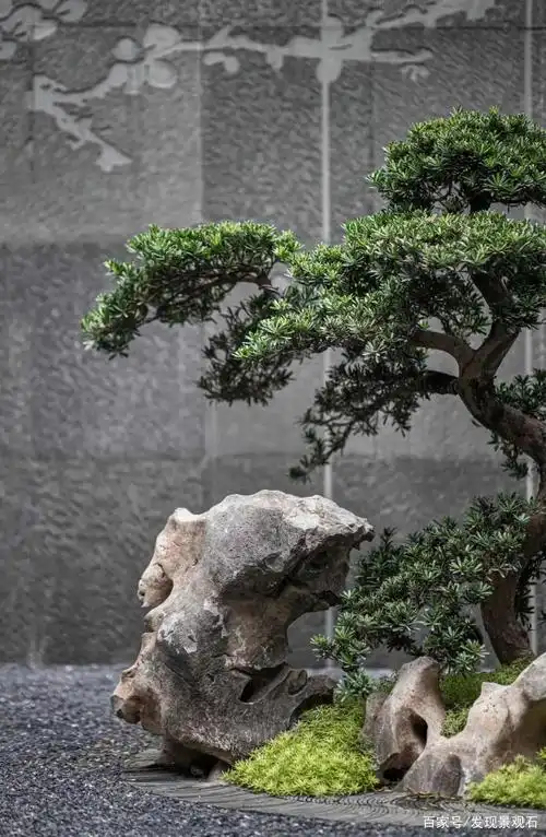 无石不成园快收下这一波景石精品案例